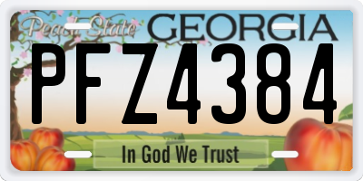 GA license plate PFZ4384