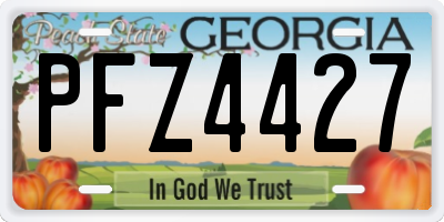 GA license plate PFZ4427