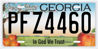 GA license plate PFZ4460