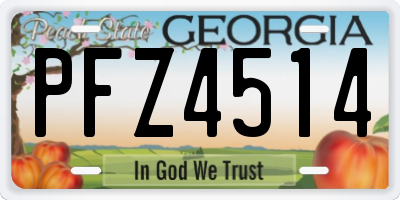 GA license plate PFZ4514