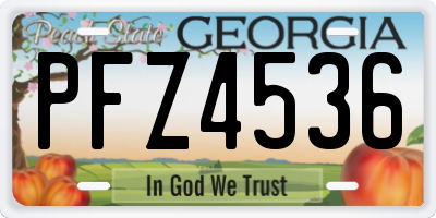 GA license plate PFZ4536