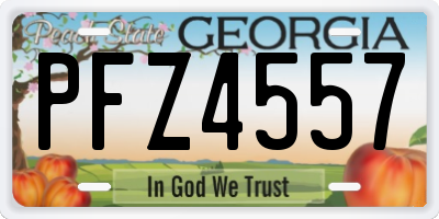 GA license plate PFZ4557