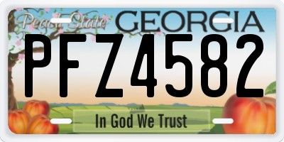GA license plate PFZ4582