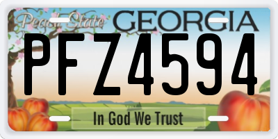 GA license plate PFZ4594