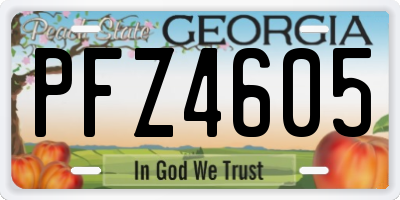 GA license plate PFZ4605