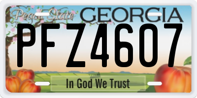 GA license plate PFZ4607