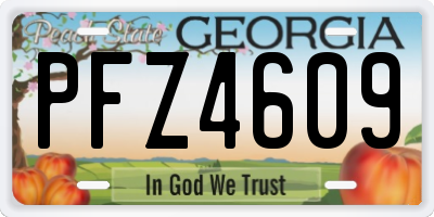 GA license plate PFZ4609