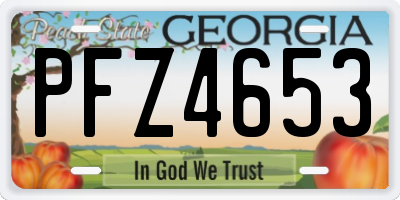 GA license plate PFZ4653