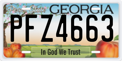 GA license plate PFZ4663