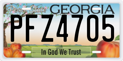 GA license plate PFZ4705