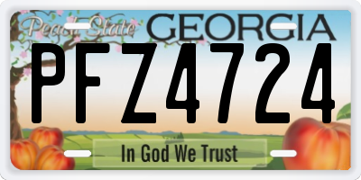 GA license plate PFZ4724