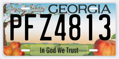 GA license plate PFZ4813