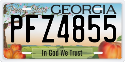 GA license plate PFZ4855