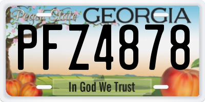 GA license plate PFZ4878