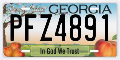 GA license plate PFZ4891
