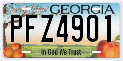 GA license plate PFZ4901