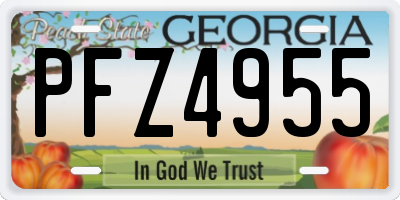 GA license plate PFZ4955