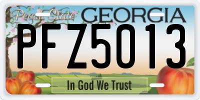 GA license plate PFZ5013