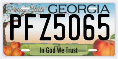 GA license plate PFZ5065
