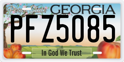 GA license plate PFZ5085