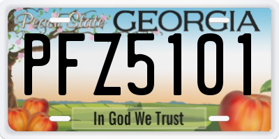 GA license plate PFZ5101