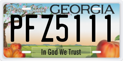 GA license plate PFZ5111
