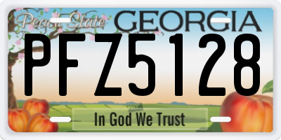 GA license plate PFZ5128