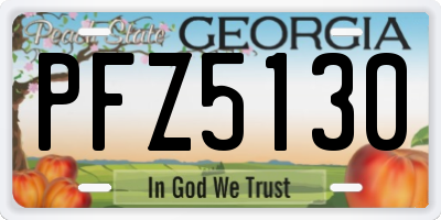 GA license plate PFZ5130