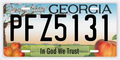 GA license plate PFZ5131
