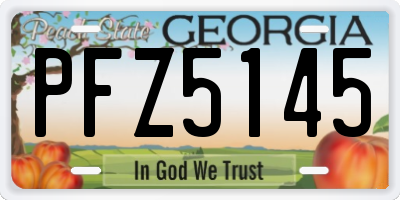 GA license plate PFZ5145