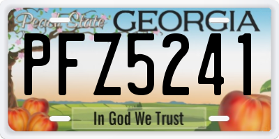 GA license plate PFZ5241