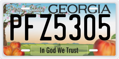 GA license plate PFZ5305