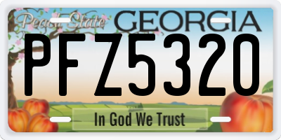 GA license plate PFZ5320
