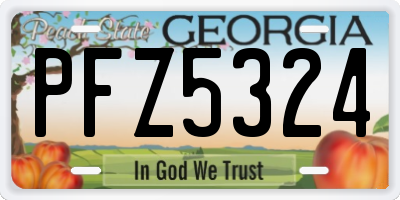 GA license plate PFZ5324