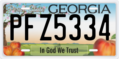 GA license plate PFZ5334