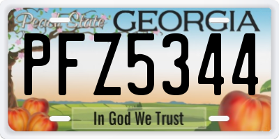 GA license plate PFZ5344