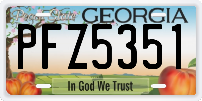 GA license plate PFZ5351