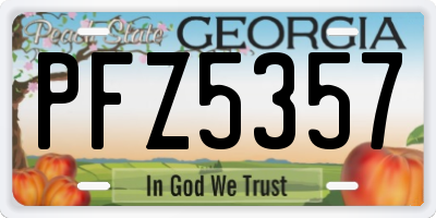 GA license plate PFZ5357