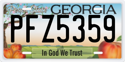 GA license plate PFZ5359