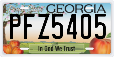 GA license plate PFZ5405
