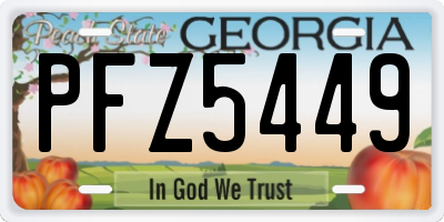 GA license plate PFZ5449