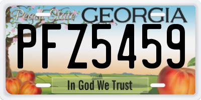 GA license plate PFZ5459