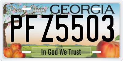 GA license plate PFZ5503