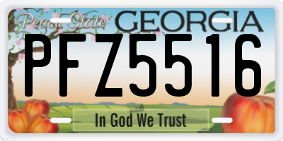 GA license plate PFZ5516