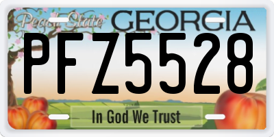 GA license plate PFZ5528