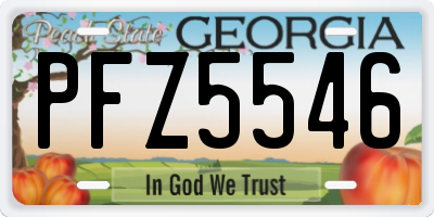 GA license plate PFZ5546