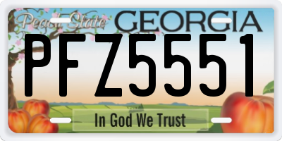 GA license plate PFZ5551