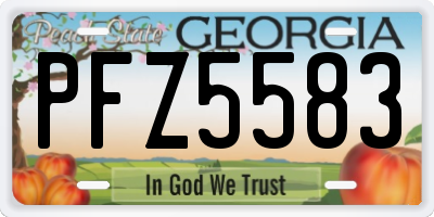 GA license plate PFZ5583