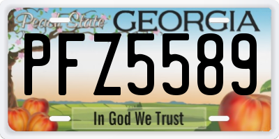 GA license plate PFZ5589