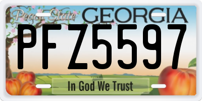 GA license plate PFZ5597